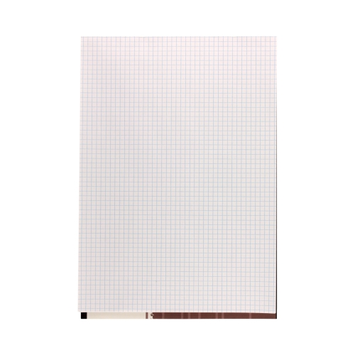 Blok notatnikowy A4/50 kratka Eco Interdruk