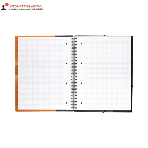 Kołonotatnik A4/80 kratka Nomadb Oxford