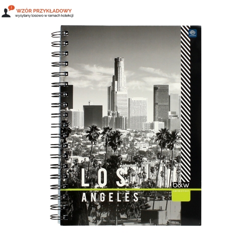 Kołozeszyt B5/160 kratka Interdruk