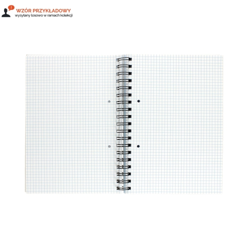 Kołozeszyt B5/160 kratka Interdruk