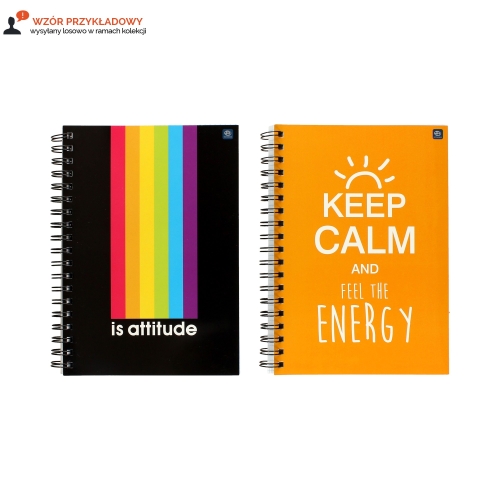 Kołozeszyt B5/160 kratka Interdruk