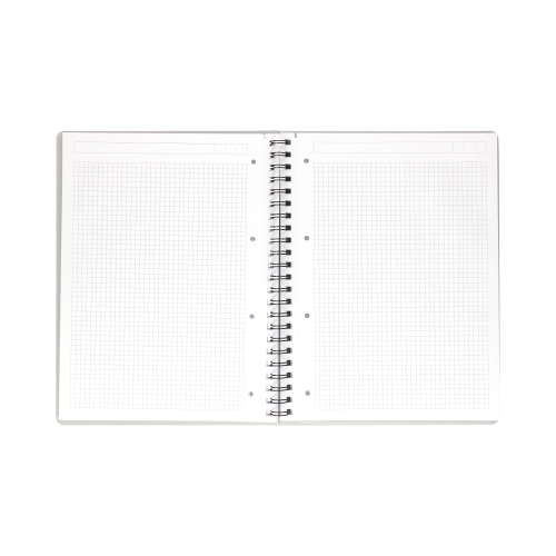 Kołonotatnik A4 kratka Executive  PP Leitz