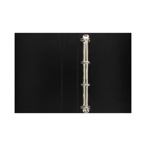 Segregator A4/60/4DR czarny Panorama Esselte