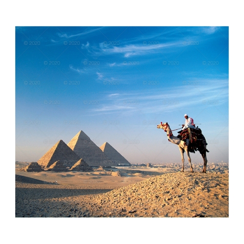 Kalendarz wieloplanszowy Konie w obiektywie RW15