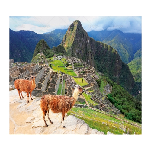 Kalendarz wieloplanszowy Konie w obiektywie RW15