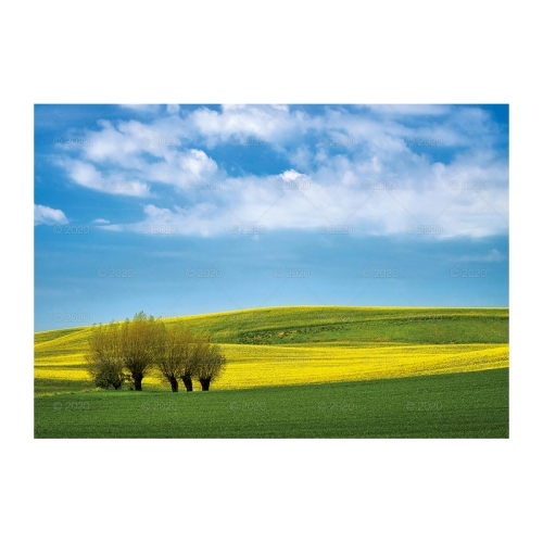 Kalendarz wieloplanszowy Bukiety Kwiatów RW14