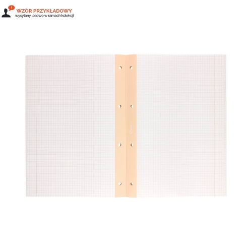 Wkład segregatorowy A4/50 kratka/kolorowa margines Interdruk