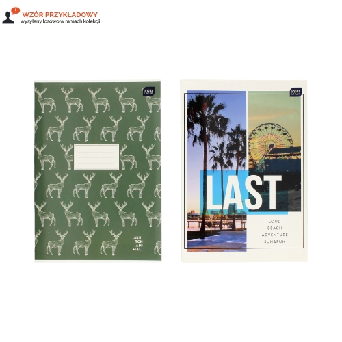 Zeszyt A4/60 gładki Interduk