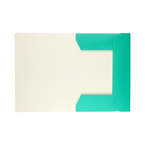 Teczka gumka A4+ fluo tukusowa Interdruk