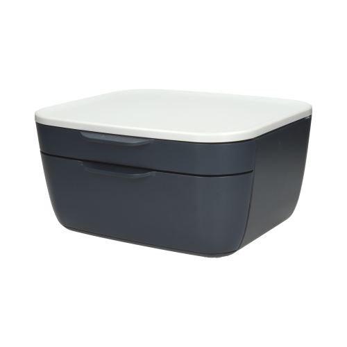 Pojemnik 2 szuflady szary Leitz Cosy 53570089