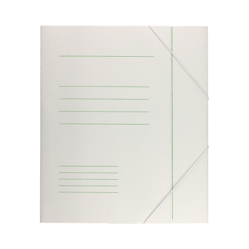 Teczka gumka A4 BOX/60 Bigo