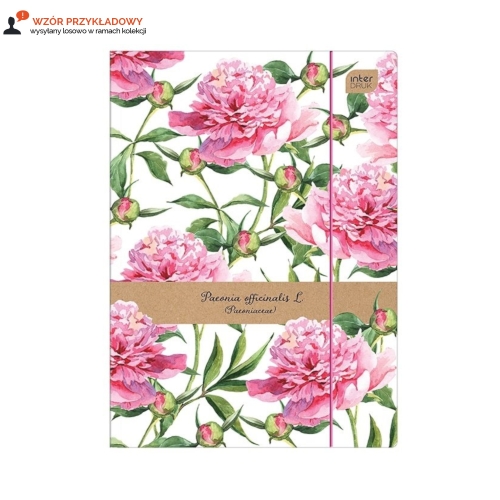 Teczka gumka A4+ LUX Botanique Interdruk