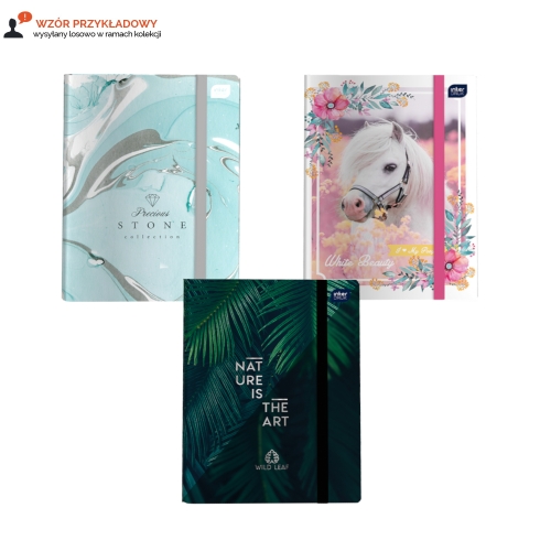 Teczka skrzydłowa z gumką A4+ Girls Interdruk