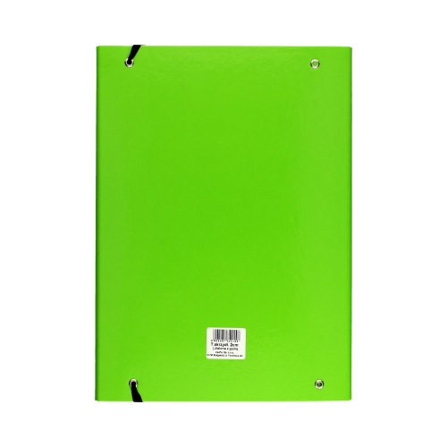 Teczka skrzydłowa gumka zielona 20mm Caribic