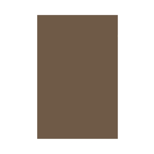 Karton kolor A1 brązowy Lux Interdruk 119