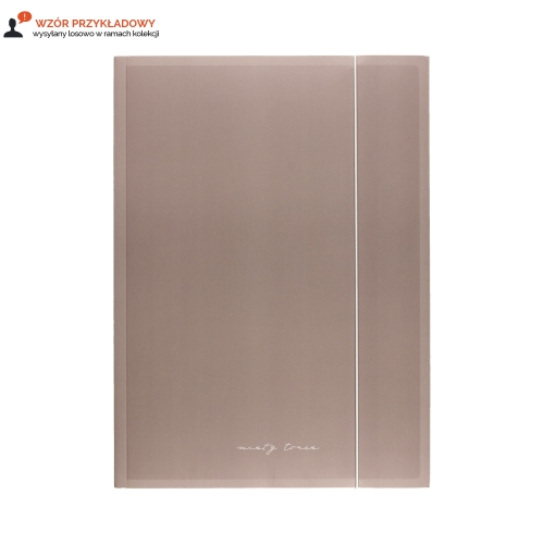 Teczka gumka A4+ Mat Nude Interdruk