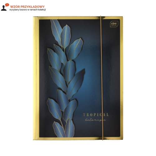 Teczka gumka A4+ metallic Gold mix/2 Interdruk