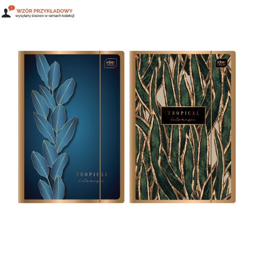 Teczka gumka A4+ metallic Gold mix/2 Interdruk