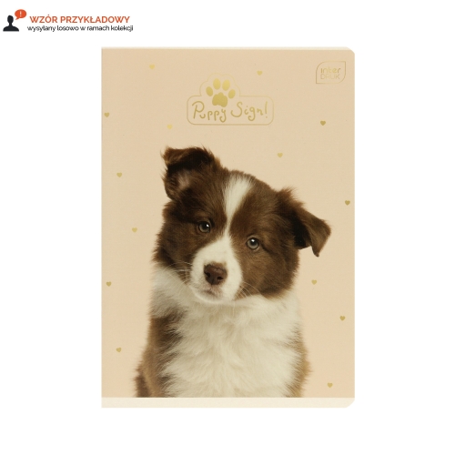 Zeszyt A5/16 linia Interdruk