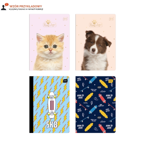 Zeszyt A5/16 linia Interdruk