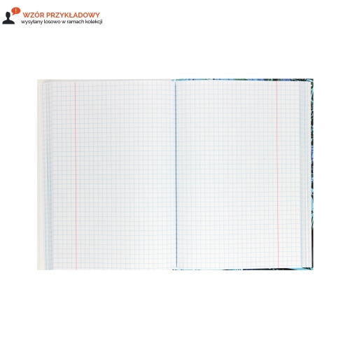 Brulion A5/80 kratka TO informatyka Interduk