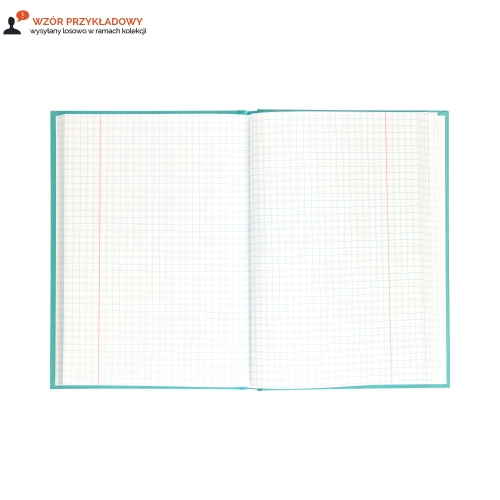 Brulion A5/80 kratka TO matematyka Interduk