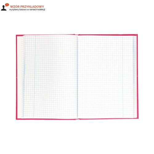 Brulion A5/80 kratka TO język francuski Interdruk