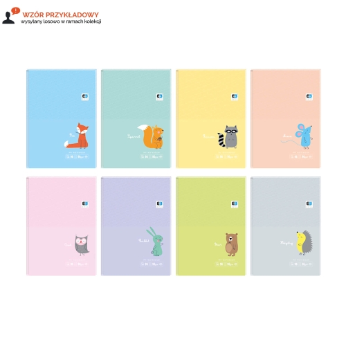 Brulion A6/96 kratka poddruk B&BKids pastel Interduk