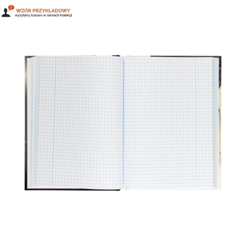 Brulion A5/96 kratka TO PZPN Interduk