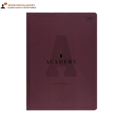 Brulion A4/96 kratka Academy Interdruk 90g