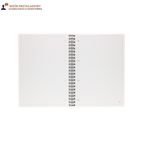 Kołozeszyt A4/100 kratka Academy pastel Interdruk 90g