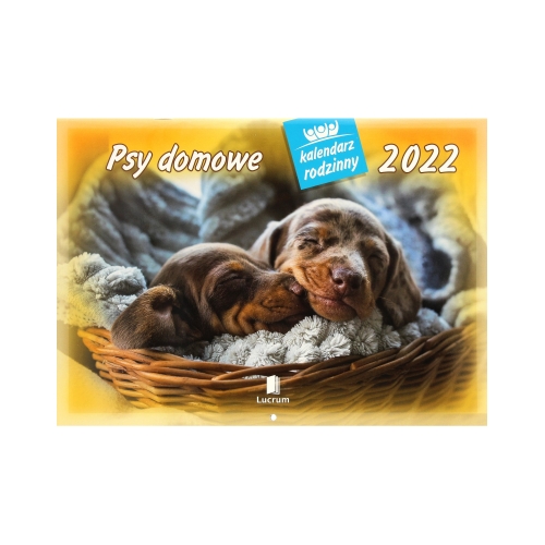 Kalendarz wieloplanszowy Psy domowe WL08
