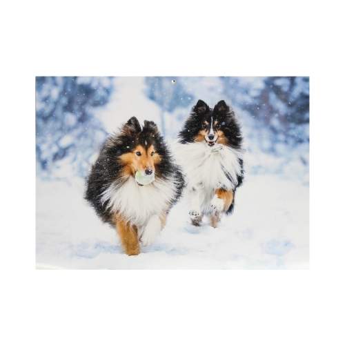 Kalendarz wieloplanszowy Psy domowe WL08