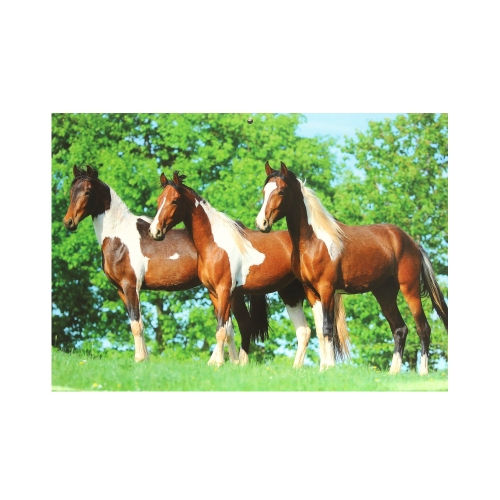 Kalendarz wieloplanszowy Konie w plenerze WL10