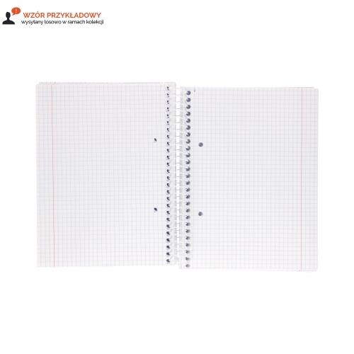 Kołozeszyt A5/160 kratka MO Interdruk