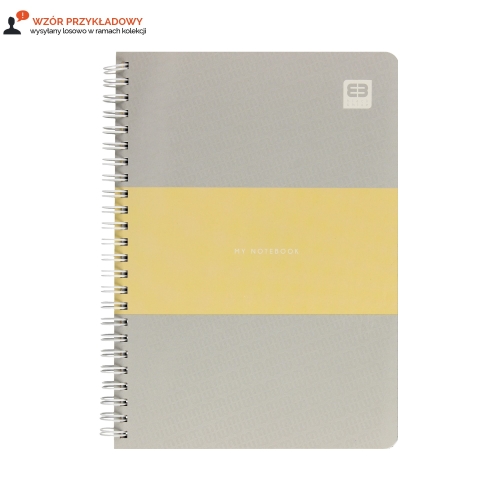 Kołozeszyt A5/80 kratka B&B pastel Interdruk