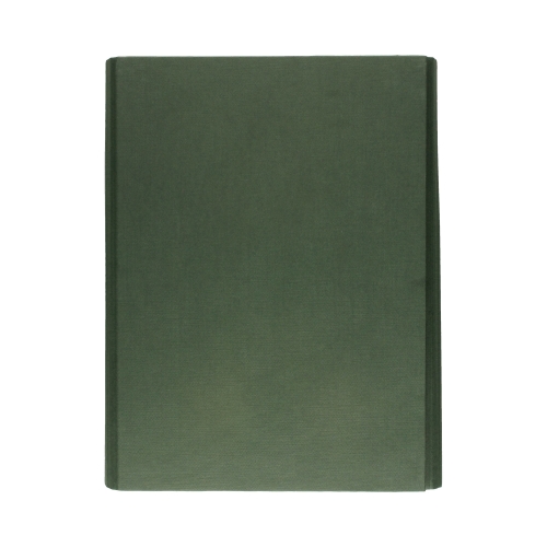 Teczka skrzydłowa rzep zielona 35mm Delfin