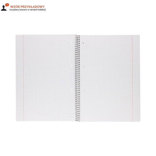 Kołozeszyt A4/100 kratka MO Interdruk