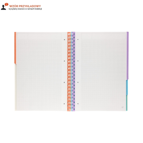 Kołozeszyt A4/100 kratka 5kol register Interdruk