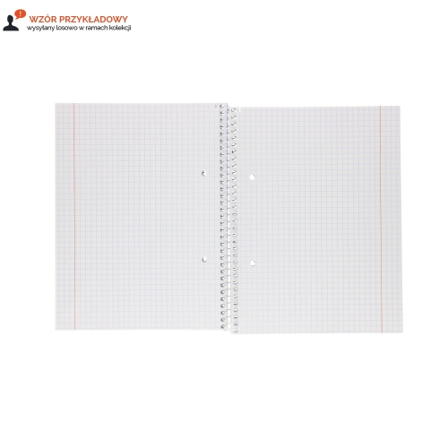 Kołozeszyt A5/100 kratka MO Interdruk
