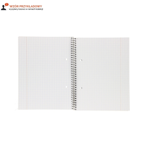 Kołozeszyt A5/50 kratka Interdruk