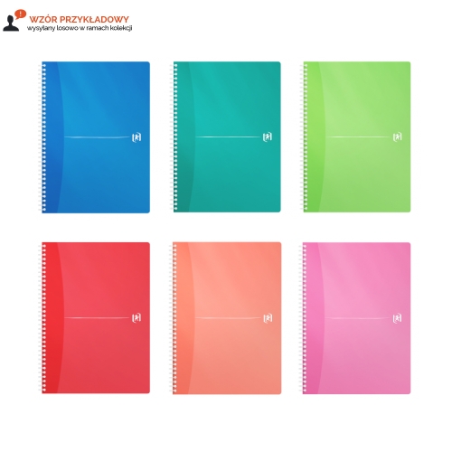 Kołonotatnik A4/90 kratka PP My Colours Oxford