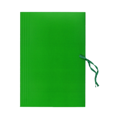Teczka wiązana A4 zielona Bigo