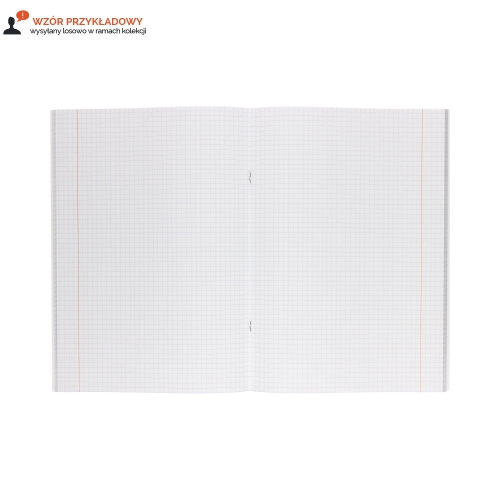 Zeszyt A4/60 kratka Trends Boys Interdruk