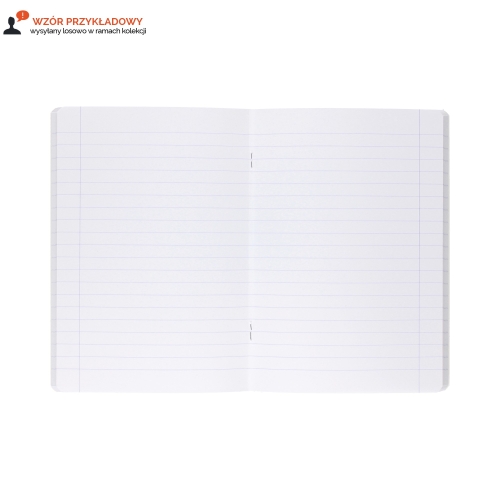 Zeszyt A5/60 linia Paint 90g Oxford 400170335