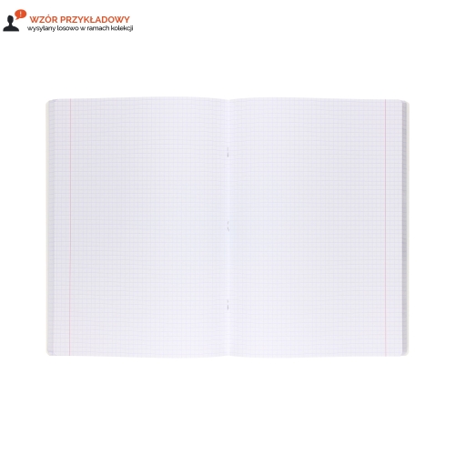 Zeszyt A4/96 kratka Colors Top2000 400169189