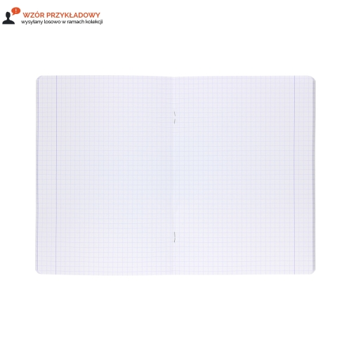 Zeszyt A5/32 kratka Kids Oxford 400175622