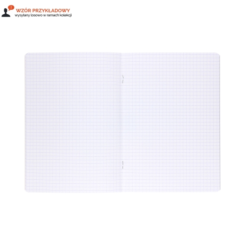 Zeszyt A5/16 kratka Kids Oxford 400170266