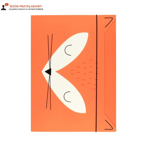 Teczka gumka A4+ BB Boys Interdruk