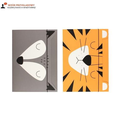 Teczka gumka A4+ BB Boys Interdruk